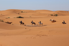 Morocco-Morocco-Sand Dunes Horse & Camel Ride